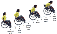 The WHEEL Scale was adapted from the Children OMNI Scale (Robertson et al., 2000), which is defined by portraits, numbers, and verbal descriptors. There are four pictorial descriptors illustrating a person who uses a manual wheelchair experiencing various levels of exertion while propelling the manual wheelchair uphill in the WHEEL Scale. The scale has eleven numbers and six verbal descriptors under the pictures that range from 0 at the left side to 10 at the end of right side. Verbal descriptors are listed under every other number of the scale as follows: “not tired at all” is under the number 0, “a little tired” is under the number 2, “getting more tired” is under number 4, “tired” is under number 6, “really tired” is under number 8, and “very, very tired” is under number 10.